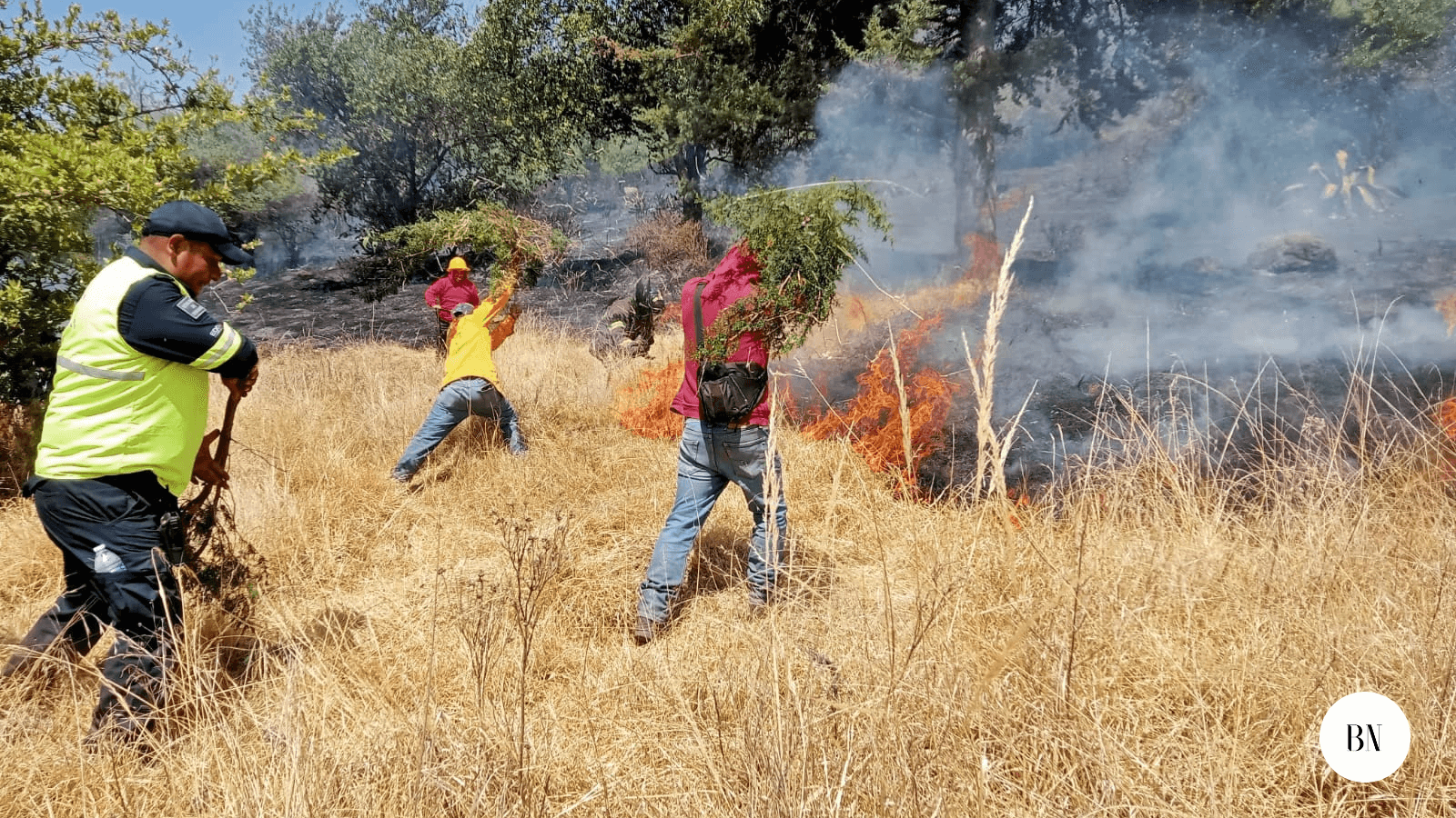 Apagan incendio en el Parque Sierra Morelos